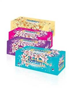 سافتلن دستمال کاغذی300برگ(باغ بهشت)